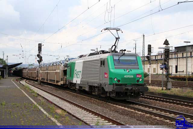 437029