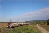 90 80 2159 246-8 bei Poppenburg