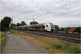 462 048 bei Stedefreund