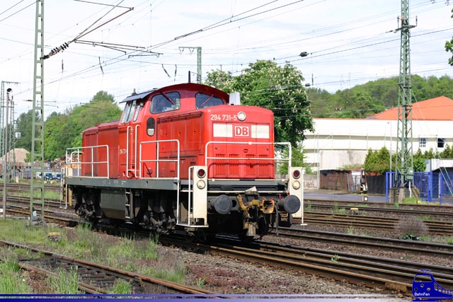  294 731-5